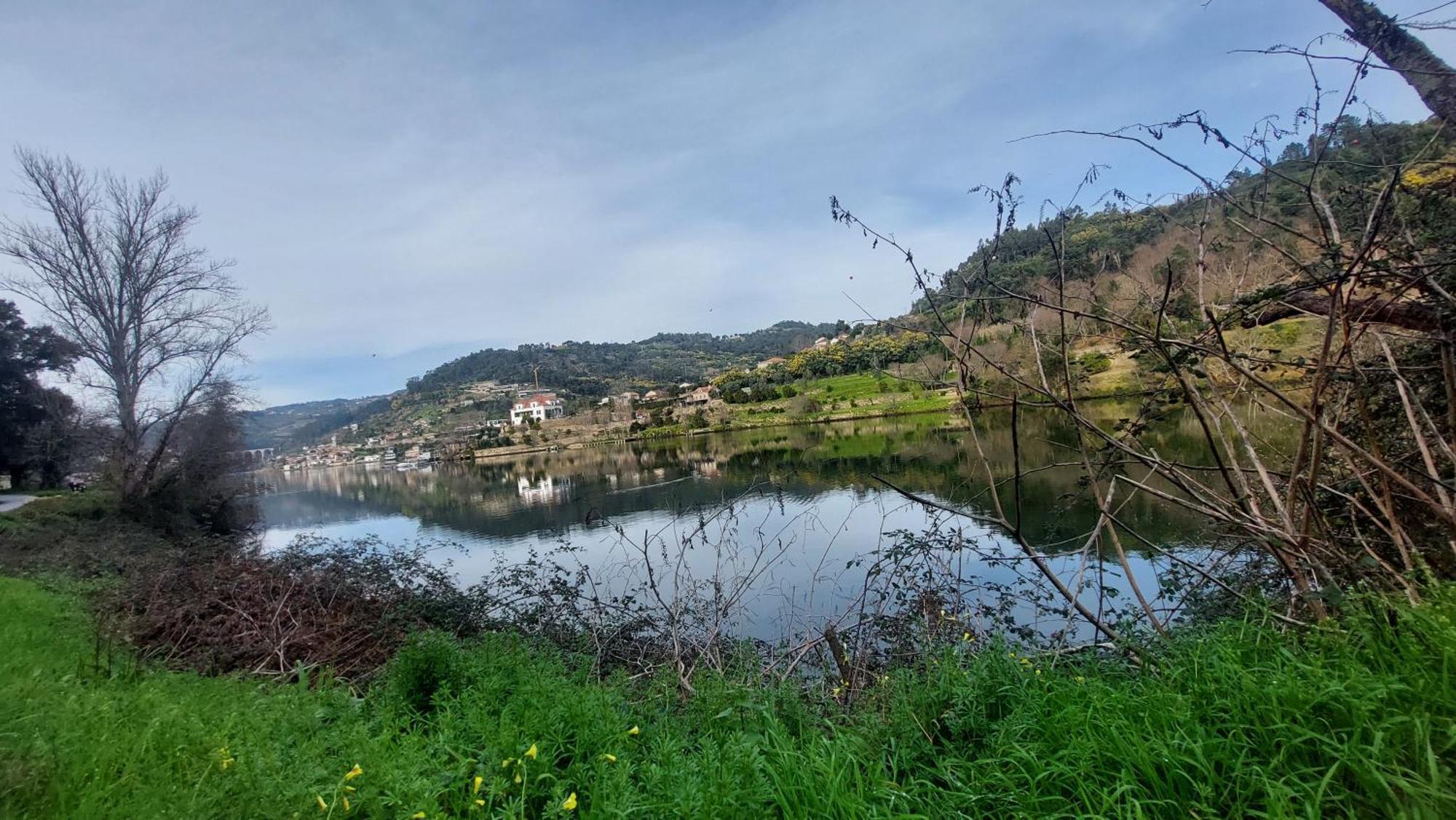 Welcome Douro Cinfães Eksteriør billede
