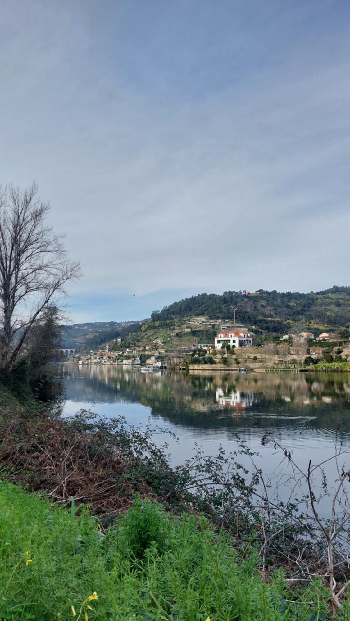 Welcome Douro Cinfães Eksteriør billede